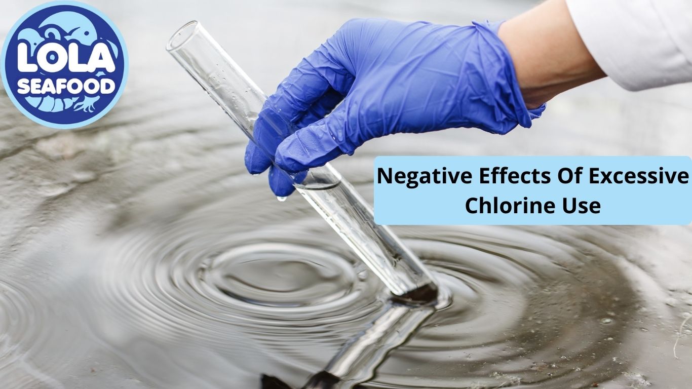 Negative Effects Of Excessive Chlorine Use